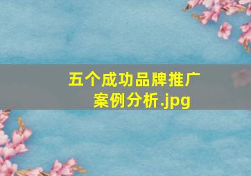 五个成功品牌推广案例分析