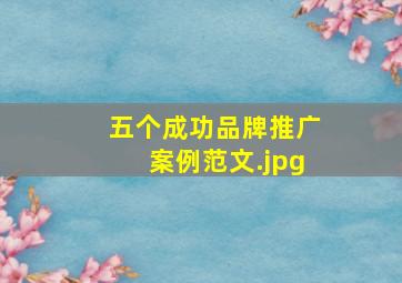 五个成功品牌推广案例范文