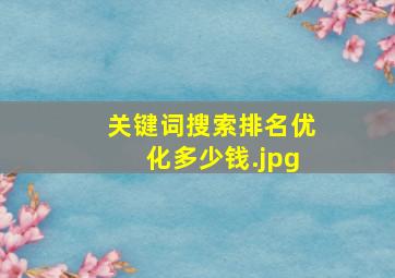 关键词搜索排名优化多少钱