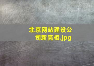 北京网站建设公司新亮相