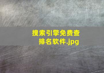 搜索引擎免费查排名软件