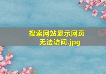 搜索网站显示网页无法访问