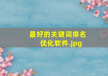 最好的关键词排名优化软件