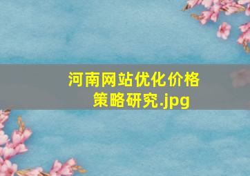 河南网站优化价格策略研究