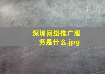 深圳网络推广服务是什么