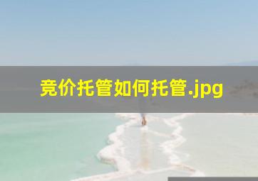 竞价托管如何托管
