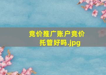 竞价推广账户竞价托管好吗