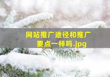 网站推广途径和推广要点一样吗