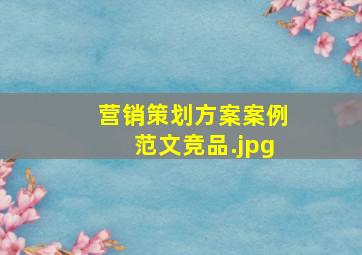 营销策划方案案例范文竞品
