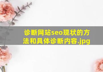 诊断网站seo现状的方法和具体诊断内容