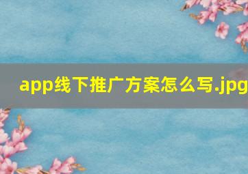 app线下推广方案怎么写
