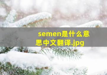 semen是什么意思中文翻译