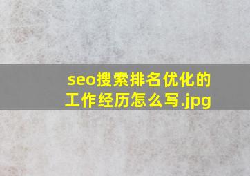 seo搜索排名优化的工作经历怎么写